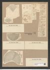 Coscinodiscus subtilis Ehr. (de-Toni-Nr.: Genus 202, Species 4941) Zeichnungen Sammlung Grunow Nr. 8531 (NHMW-BOT-W0378160)